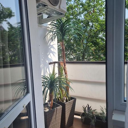Apartman-Florianska Kassa Kültér fotó